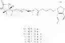 Fig. 57 - Antimicrobial compounds