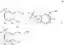 Fig. 05 - METHODS OF MODULATING ONCOGENIC FUSION PROTEINS