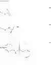 Fig. 49 - METHODS OF MODULATING ONCOGENIC FUSION PROTEINS