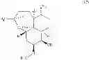 Fig. 14 - Compositions of pharmaceutical actives containing diethylene glycol monoethyl ether or other alkyl derivatives