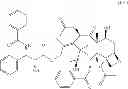 Fig. 23 - Compositions of pharmaceutical actives containing diethylene glycol monoethyl ether or other alkyl derivatives