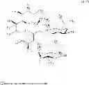 Fig. 50 - Compositions of pharmaceutical actives containing diethylene glycol monoethyl ether or other alkyl derivatives