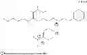 Fig. 72 - Compositions of pharmaceutical actives containing diethylene glycol monoethyl ether or other alkyl derivatives