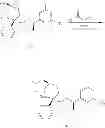 Fig. 112 - NKantagonists