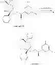 Fig. 121 - NKantagonists