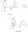 Fig. 153 - NKantagonists
