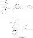 Fig. 161 - NKantagonists