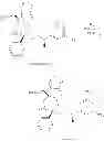 Fig. 166 - NKantagonists