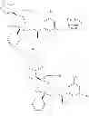 Fig. 182 - NKantagonists