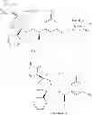Fig. 183 - NKantagonists