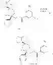 Fig. 191 - NKantagonists
