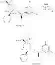 Fig. 197 - NKantagonists
