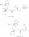 Fig. 199 - NKantagonists