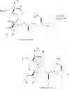 Fig. 200 - NKantagonists