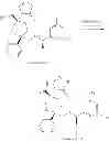 Fig. 201 - NKantagonists