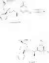 Fig. 209 - NKantagonists