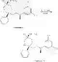 Fig. 216 - NKantagonists