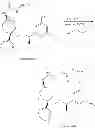 Fig. 232 - NKantagonists