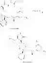 Fig. 233 - NKantagonists