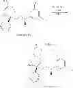 Fig. 237 - NKantagonists