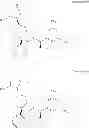 Fig. 243 - NKantagonists
