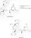 Fig. 258 - NKantagonists