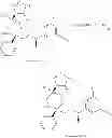 Fig. 261 - NKantagonists