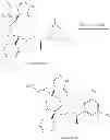 Fig. 263 - NKantagonists