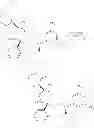 Fig. 90 - NKantagonists