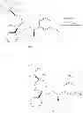 Fig. 91 - NKantagonists