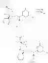 Fig. 95 - NKantagonists