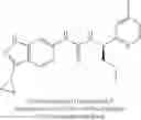 Fig. 262 - Compounds that are ERK inhibitors