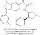 Fig. 676 - Compounds that are ERK inhibitors