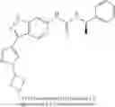 Fig. 717 - Compounds that are ERK inhibitors