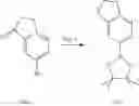 Fig. 69 - INHIBITORS OF HUMAN IMMUNODEFICIENCY VIRUS REPLICATION
