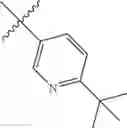 Fig. 34 - Picolinamide derivatives as TTX-S blockers