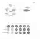 Fig. 02 - METHODS AND COMPOSITIONS FOR PREDICTING RESISTANCE TO ANTICANCER TREATMENT