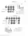 Fig. 04 - METHODS AND COMPOSITIONS FOR PREDICTING RESISTANCE TO ANTICANCER TREATMENT