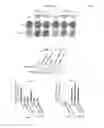 Fig. 08 - METHODS AND COMPOSITIONS FOR PREDICTING RESISTANCE TO ANTICANCER TREATMENT