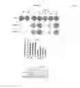 Fig. 16 - METHODS AND COMPOSITIONS FOR PREDICTING RESISTANCE TO ANTICANCER TREATMENT