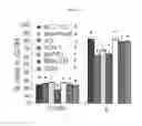 Fig. 35 - Therapeutic methods and compositions involving allosteric kinase inhibition