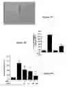 Fig. 09 - Method and compositions for treatment or prevention of inflammatory conditions