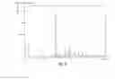 Fig. 03 - THERAPEUTIC USES OF COMPOUNDS HAVING AFFINITY TO THE SEROTONIN TRANSPORTER, SEROTONIN RECEPTORS AND NORADRENALIN TRANSPORTER
