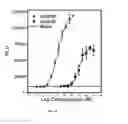 Fig. 02 - Methods and compositions associated with the granulocyte colony-stimulating factor receptor