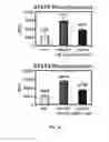 Fig. 08 - Methods and compositions associated with the granulocyte colony-stimulating factor receptor