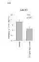 Fig. 02 - TOPICAL OPHTHALMOLOGICAL PHARMACEUTICAL COMPOSITION CONTAINING REGORAGENIB