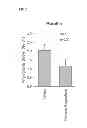 Fig. 03 - TOPICAL OPHTHALMOLOGICAL PHARMACEUTICAL COMPOSITION CONTAINING REGORAGENIB