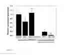 Fig. 04 - Methods For Treating Inflammation