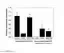 Fig. 05 - Methods For Treating Inflammation