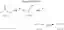 Fig. 200 - AMIDE COMPOUND AND MEDICINAL USE THEREOF
